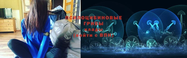 ГАЛЛЮЦИНОГЕННЫЕ ГРИБЫ Алексин