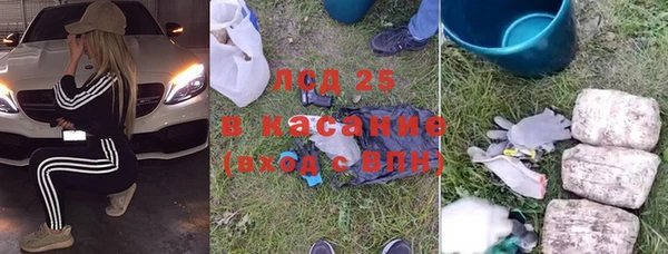 ГАЛЛЮЦИНОГЕННЫЕ ГРИБЫ Алексин