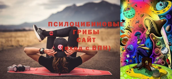 дурь Алзамай