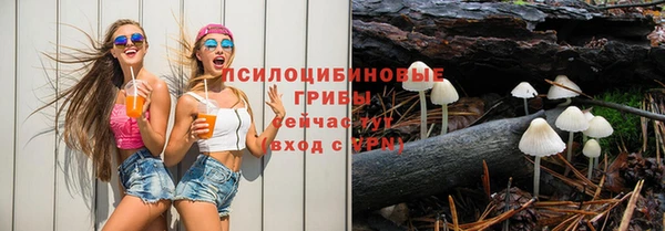 дурь Алзамай