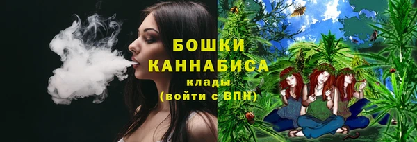 ГАЛЛЮЦИНОГЕННЫЕ ГРИБЫ Алексин