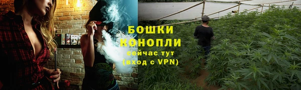 дурь Алзамай