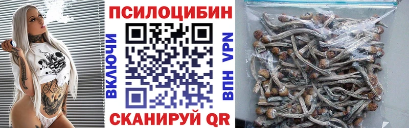 купить наркотик  OMG ТОР  Галлюциногенные грибы Cubensis  Нелидово 